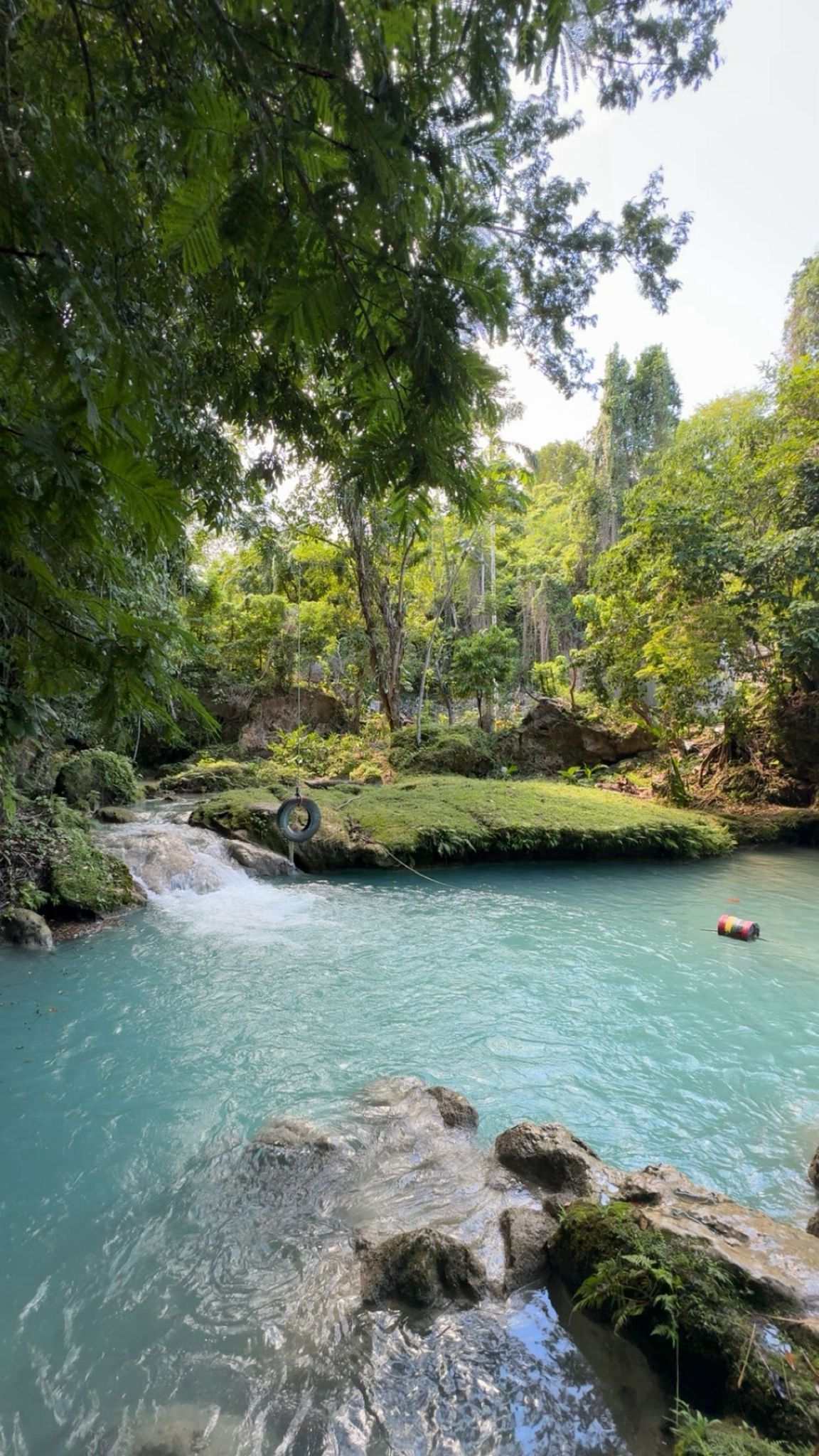 Private Jet and Luxury Transport